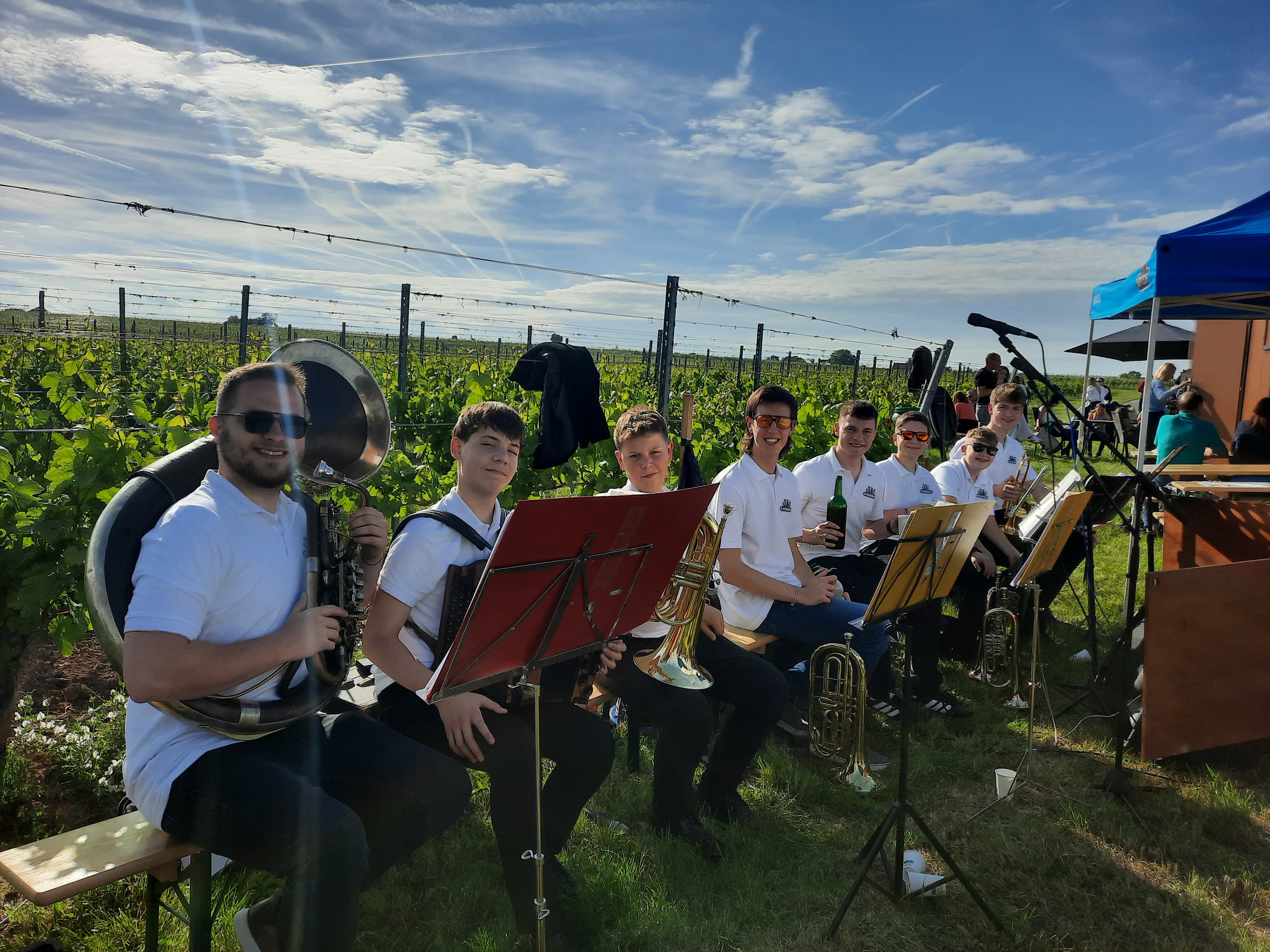 Weinblütenwanderung Lutzmannsburg